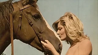 141 horse porn videos